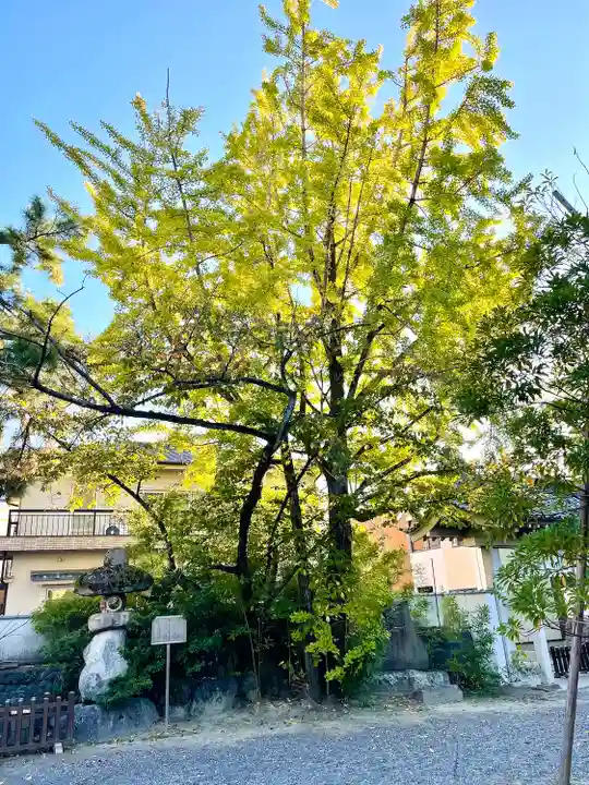 桑名宗社(春日神社)(三重県)