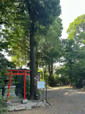 所澤神明社(埼玉県)