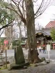 安積國造神社の建物その他