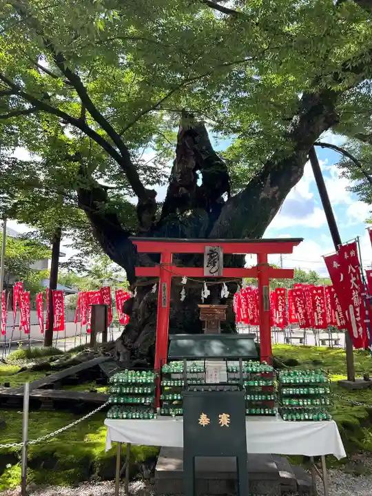 秩父今宮神社(埼玉県)