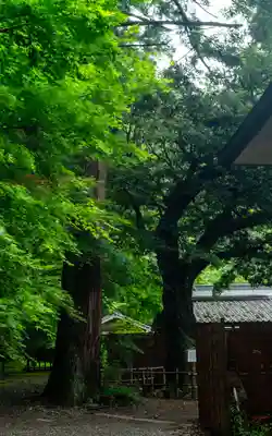 小國神社(静岡県)