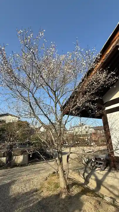 元興寺(奈良県)