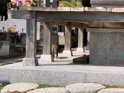 津慶寺のその他建物