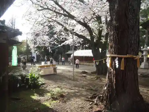 前原御嶽神社(千葉県)