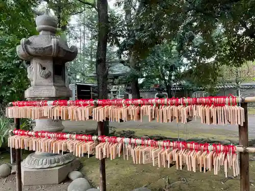 赤坂氷川神社(東京都)