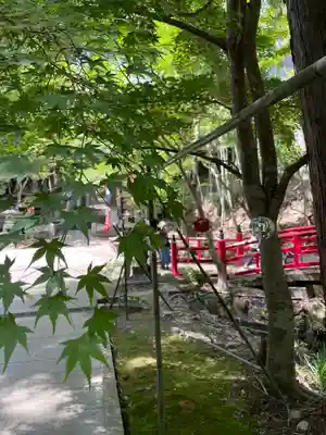 目の霊山 油山寺(静岡県)