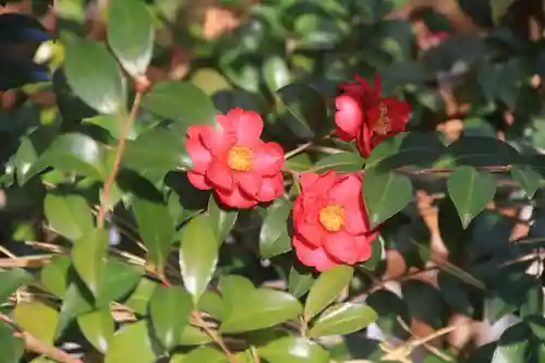 愛宕神社の庭園