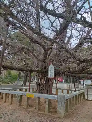 誕生寺(岡山県)