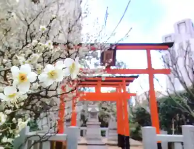 銀世界稲荷神社(東京都)