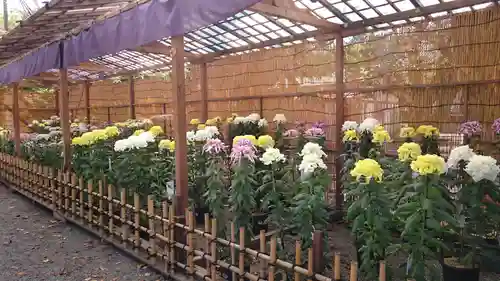 靖國神社の自然