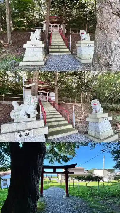 小板端光稲荷(北海道)