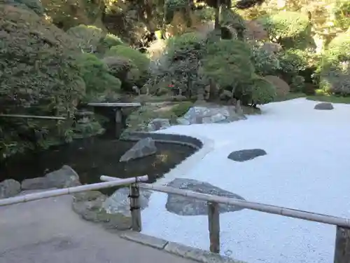 報国寺の庭園