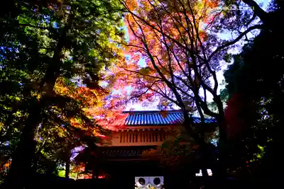 目の霊山 油山寺(静岡県)