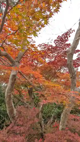 鍬山神社(京都府)