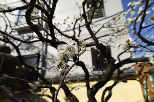 法輪寺(東京都)