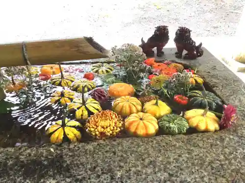 函館八幡宮の手水