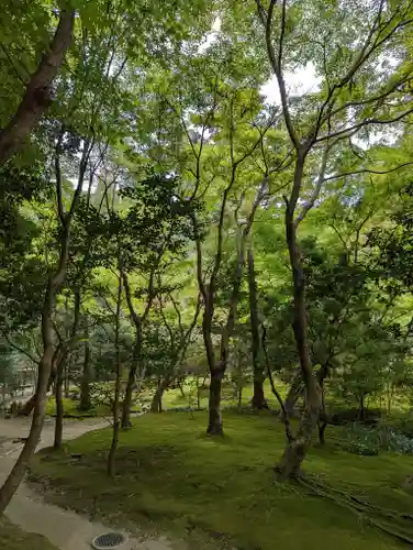 慈照寺（慈照禅寺・銀閣寺）(京都府)