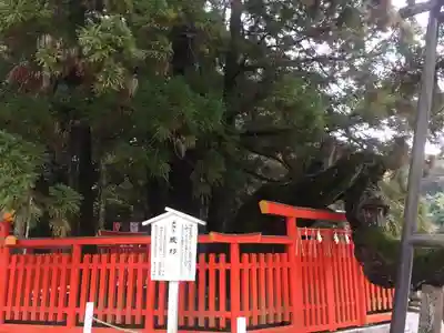 香椎宮のその他建物