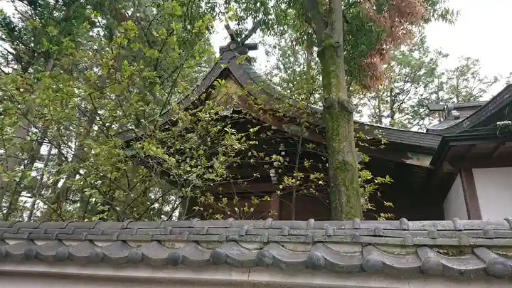 正ノ木稲荷 稲積神社の本殿・本堂