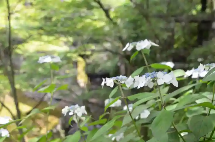 東福禅寺(東福寺)(京都府)
