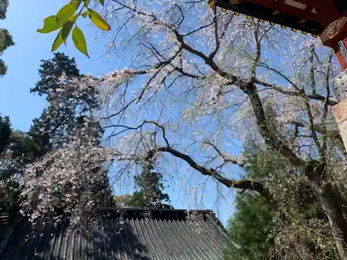 久能山東照宮のその他建物