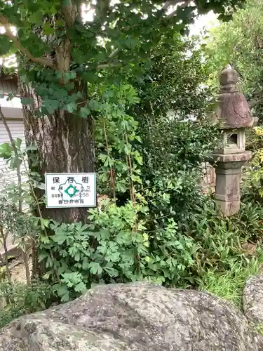 両社宮神社（宮町）の自然