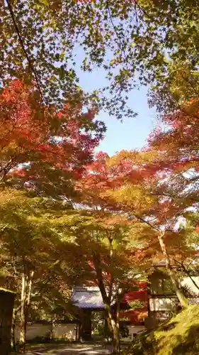 吟松寺の自然