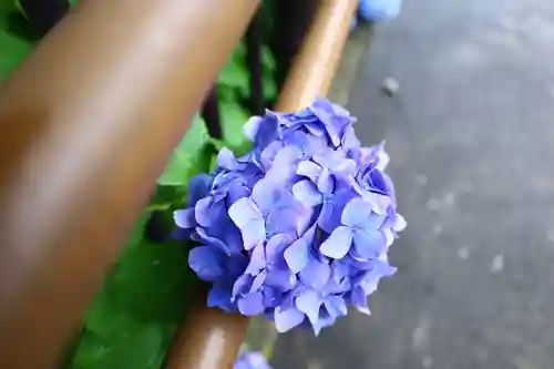 白山神社(東京都)
