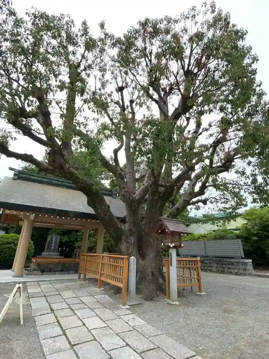 和泉國一之宮 大鳥大社の自然