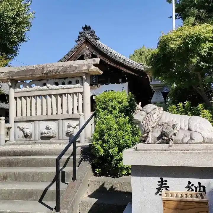 羊神社の狛犬