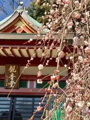 瀧泉寺(目黒不動尊)の本殿・本堂