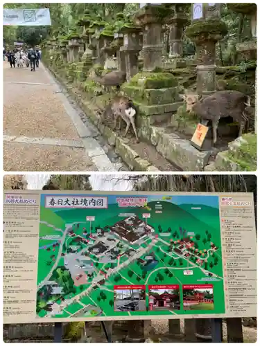 春日大社(奈良県)