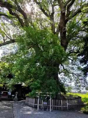 伊勢神明社(静岡県)