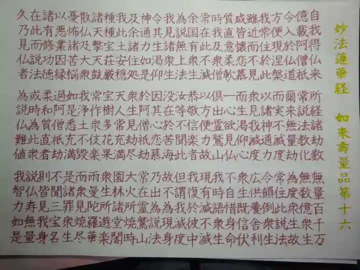 宗徳寺の体験その他