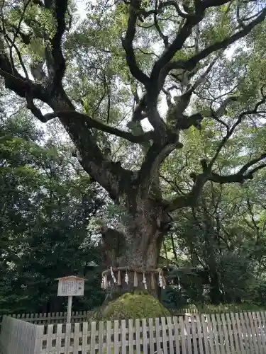 熱田神宮の自然