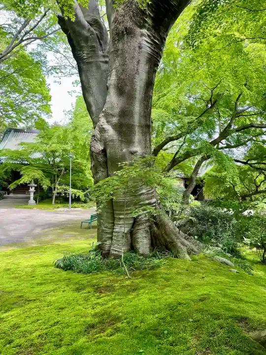 最勝寺(茨城県)