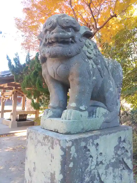 鶴谷八幡宮の狛犬