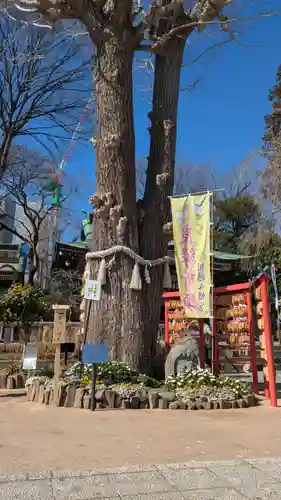 川越八幡宮(埼玉県)