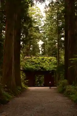 戸隠神社九頭龍社(長野県)