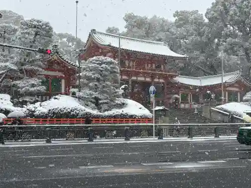 八坂神社(祇園さん)の{uncategorized: "未分類", other: "その他", undefined: "問題あり", building: "その他建物", grave: "お墓", sacred_gate: "鳥居", guardian: "狛犬", statue: "像", buddha: "仏像", history: "歴史", nature: "自然", garden: "庭園", animal: "動物", pagoda: "塔", temizu: "手水舎", mountain_gate: "山門・神門", sanctuary: "本殿・本堂", subordinate: "末社・摂社", art: "芸術", scenery: "景色", jizo: "地蔵", ema: "絵馬", goshuin: "御朱印", omikuji: "おみくじ", items: "授与品その他", amulet: "お守り", goshuincho: "御朱印帳", eats: "食事", festival: "お祭り", votive_dance: "神楽", shichigosan: "七五三参", wedding: "結婚式", experience: "体験その他", initially: "初詣", around: "周辺", anti_infection: "感染症対策"}