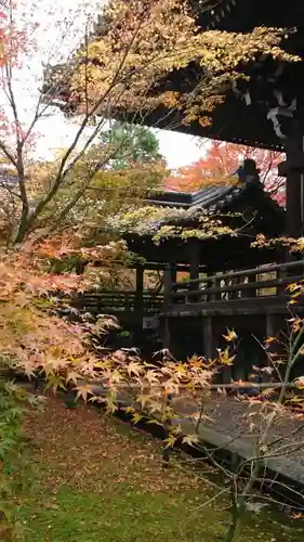 真正極楽寺（真如堂）の自然