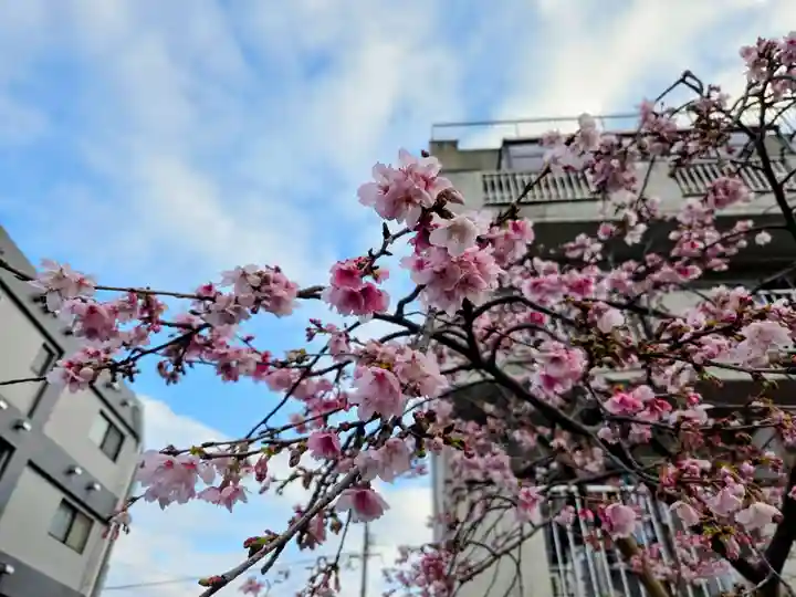 日枝神社(鹿児島県)