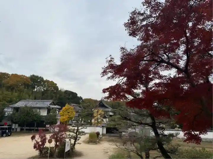 備中國分寺(岡山県)