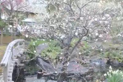 湯島天満宮(東京都)