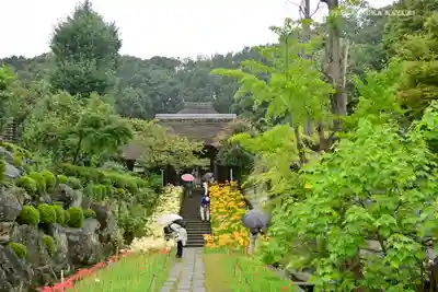横浜 西方寺の山門・神門