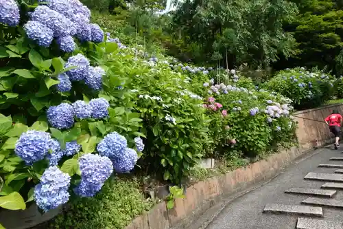 善峯寺の庭園