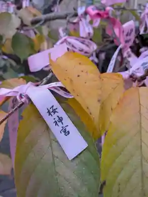 桜神宮(東京都)