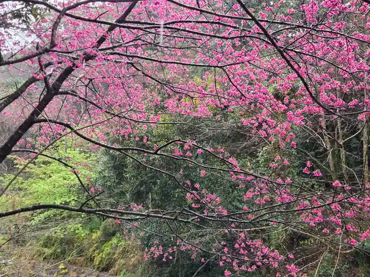 猫神社(鹿児島県)