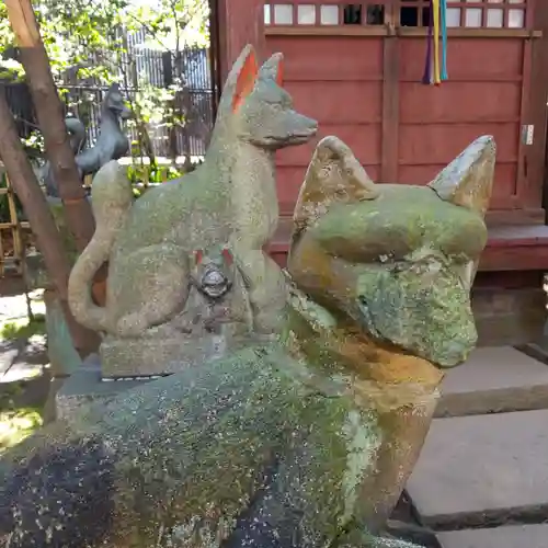 渋谷氷川神社の狛犬