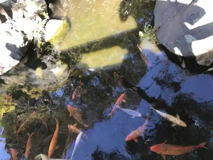 西新井大師総持寺(東京都)